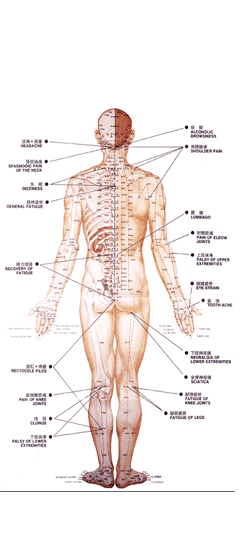 edmonton-acupuncture-points